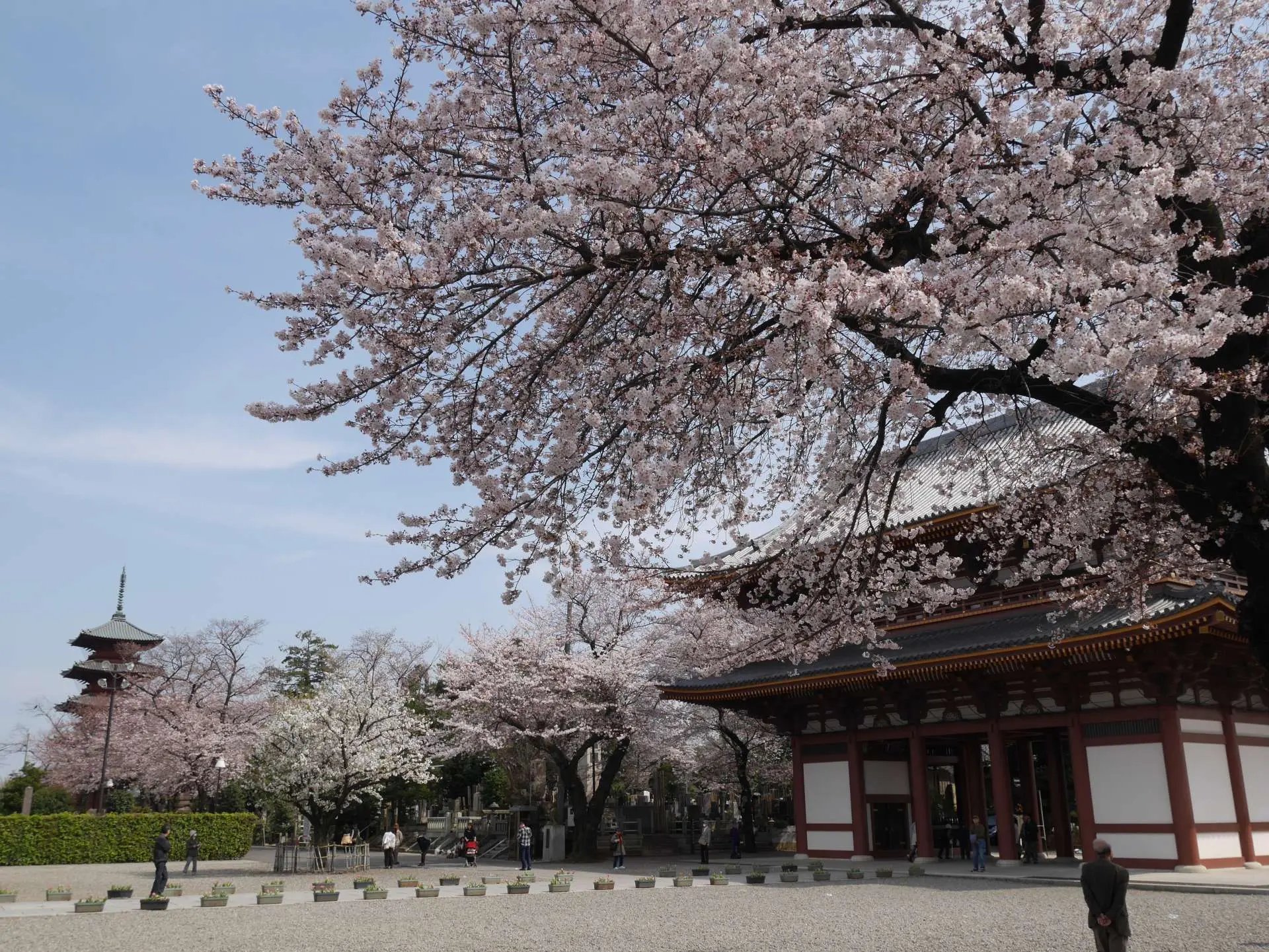 🏯 이케가미 혼몬지 이미지 11